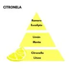 Pirámide olfativa del aroma Citronela. A la izquierda un icono de una rodaja de limón. La pirámide es de color amarilla: Salida: romero y eucalipto. Cuerpo: limón y menta. Fondo: citronella y litsea.