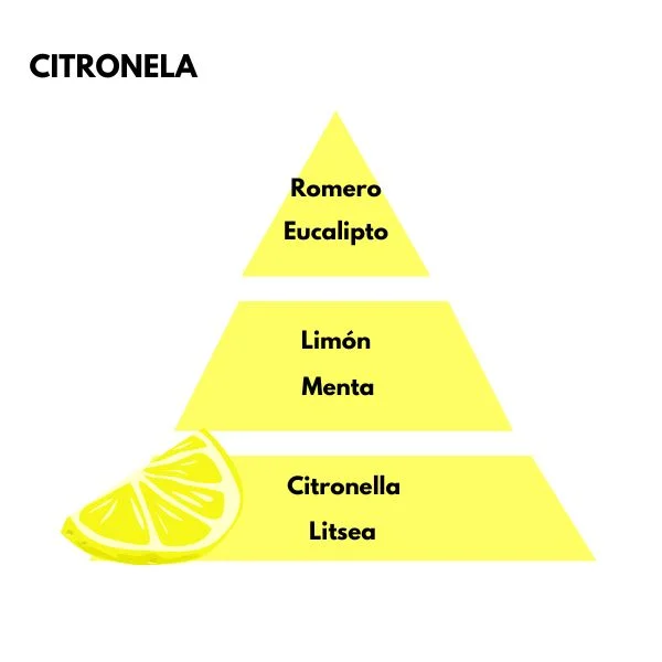 Pirámide olfativa del aroma Citronela. A la izquierda un icono de una rodaja de limón. La pirámide es de color amarilla: Salida: romero y eucalipto. Cuerpo: limón y menta. Fondo: citronella y litsea.