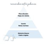 Pirámide olfativa del aroma Recuerdos entre Jabones. A la izquierda el icono de de unas sabanas tendidas. La pirámide es de color azul: Salida: pino silvestre y hojas de violeta. Cuerpo: jazmín y notas marinas. Fondo: almizcle blanco y cedro virginia.