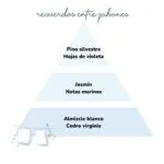 Pirámide olfativa aroma Recuerdos entre Jabones. A la izquierda icono de de unas sabanas tendidas.