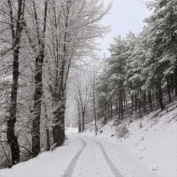 Aromas ideales para Invierno. El Camino al nacimiento nevado, Pontones. Una imagen de ensueño.