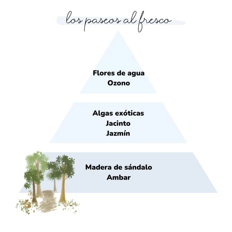 Pirámide olfativa del aroma Los Paseos al Fresco icono de árboles y el camino al nacimiento.