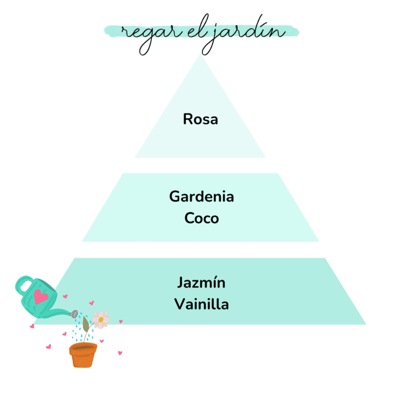 piramide olfativa aroma regar el jardin loes hogar