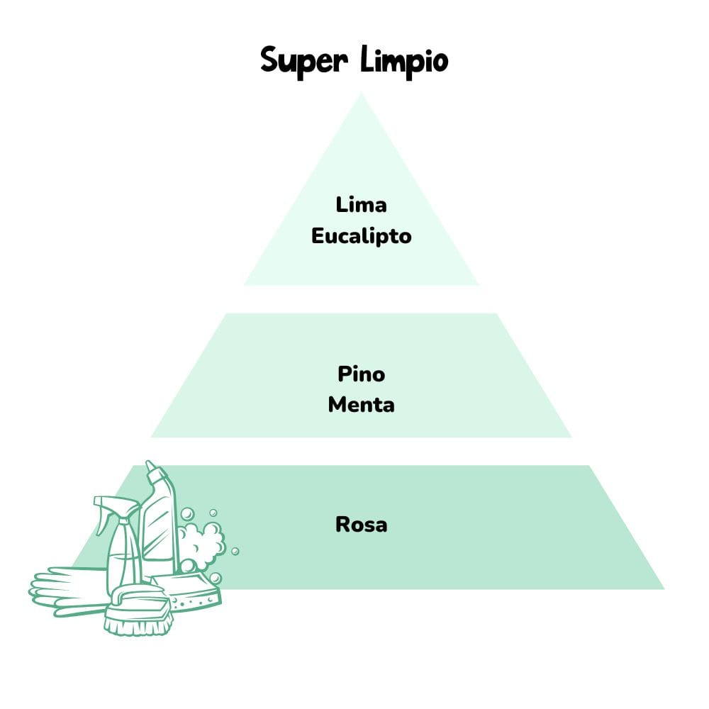 piramide olfativa aroma super limpio loes hogar