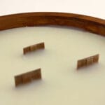 Vela  con 3 mechas de madera Carta a los Reyes redonda - Imagen 6